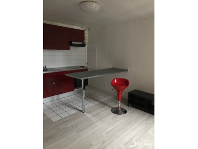 AU CALME APPARTEMENT T2 Demi meublé gracieusement proche place st bonnet sécurisé., bourges