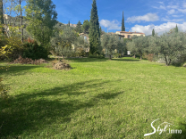 Maison dans les oliviers avec vue imprenable sur le Saint Julien et le Mont Ventoux