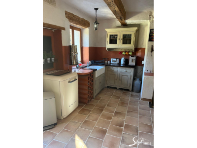 MAS EN PIERRE RENOVE SUR 3 264 M2 DE TERRAIN, Buis les baronnies