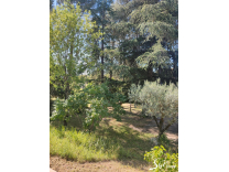 ENSEMBLE IMMOBILIER SAINT MICHEL D' EUZET - VALLEE DE LA CEZE