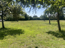 Normande avec 2 chambres au rdc et grenier aménageable!