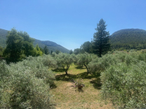 GRANDE MAISON RENOVEE SUR 2 367 M2 DE TERRAIN