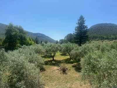 GRANDE MAISON RENOVEE SUR 2 367 M2 DE TERRAIN, Pierrelongue
