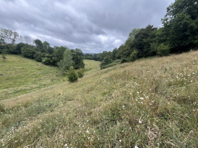 Corps de Ferme avec VUE! et 4ha de prairie., Cormeilles