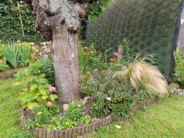 Maison (type chalet) de plain pied avec jardin!