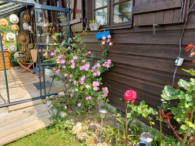 Maison (type chalet) de plain pied avec jardin!, Honfleur