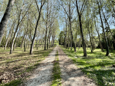 Grande maison de maitre au bord de la Dordogne, Arveyres