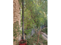 VENEJAN - GRANDE MAISON FAMILIALE